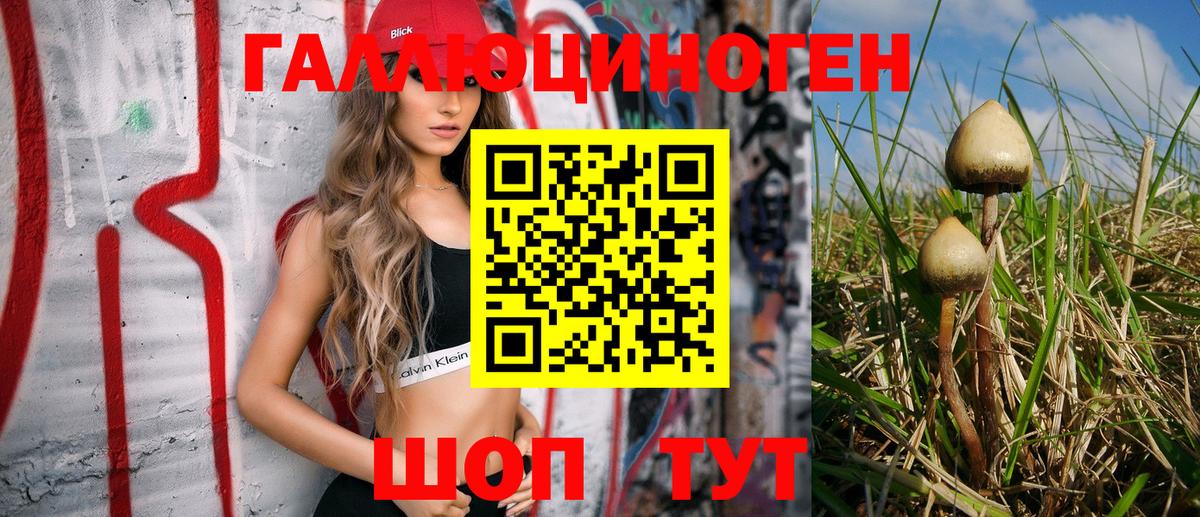 Галлюциногенные грибы мухоморы  Вход с VPN  Галлюциногенные грибы Cubensis  Биробиджан 