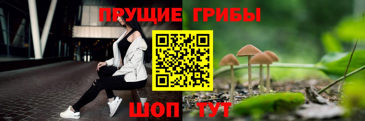 Псилоцибиновые грибы мухоморы Биробиджан